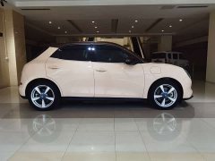 ORA Good Cat 400km Standard Range Athena Edition LFP Battery - ფოტო 5