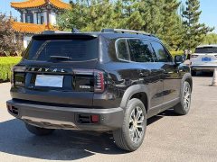 Great Wall Haval Big Dog Dachshund 1.5T DCT Two-Wheel Drive Border Collie Edition - ფოტო 5