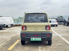 Geely Panda 2025 210km Panda Knight - ფოტო 13