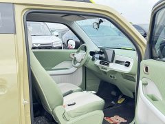 Geely Panda 2025 210km Panda Knight - ფოტო 7
