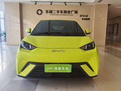 BYD Seagull Freedom Edition - ფოტო 2