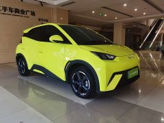 BYD Seagull Freedom Edition - ფოტო 3