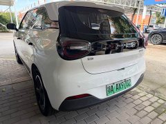 Dongfeng Nano 01 2024 430 Plus Smart - ფოტო 4