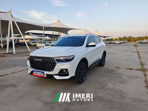 2024 Haval H6 2023 National Trend Edition 1.5T Automatic Urban Version - ავტომობილი ჩინეთიდან