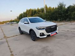 Haval H6 2023 National Trend Edition 1.5T Automatic Urban Version - ფოტო 3