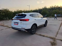 Haval H6 2023 National Trend Edition 1.5T Automatic Urban Version - ფოტო 4