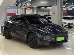 Tesla Model Y Rear-Wheel Drive - ფოტო 1
