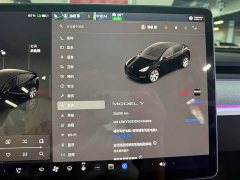 Tesla Model Y Rear-Wheel Drive - ფოტო 10