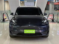 Tesla Model Y Rear-Wheel Drive - ფოტო 2
