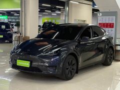 Tesla Model Y Rear-Wheel Drive - ფოტო 3