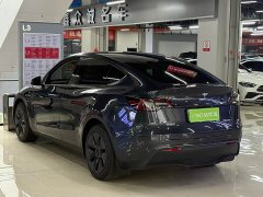 Tesla Model Y Rear-Wheel Drive - ფოტო 7