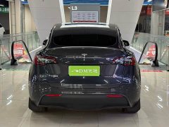 Tesla Model Y Rear-Wheel Drive - ფოტო 8