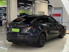Tesla Model Y Rear-Wheel Drive - ფოტო 9
