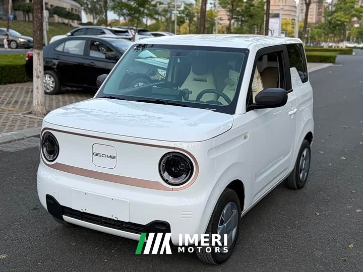 Geely Panda 200km Panda Knight - ავტომობილი ჩინეთიდან
