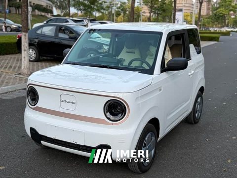2024 Geely Panda 200km Panda Knight - ავტომობილი ჩინეთიდან