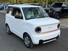 Geely Panda 200km Panda Knight - ფოტო 3
