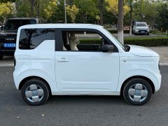 Geely Panda 200km Panda Knight - ფოტო 4