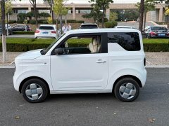 Geely Panda 200km Panda Knight - ფოტო 8
