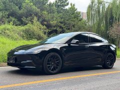 Tesla Model 3 Rear-Wheel Drive - ფოტო 1