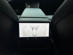Tesla Model 3 Rear-Wheel Drive - ფოტო 18