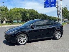 Tesla Model Y Rear-Wheel Drive - ფოტო 1