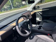 Tesla Model Y Rear-Wheel Drive - ფოტო 3