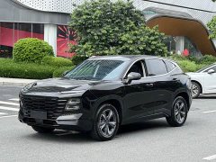 Jetour Jietu Dasheng 2023 1.5T DCT Starlight PRO - ფოტო 1