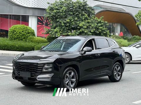 2024 Jetour Jietu Dasheng 2023 1.5T DCT Starlight PRO - ავტომობილი ჩინეთიდან