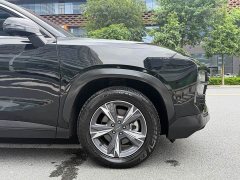Jetour Jietu Dasheng 2023 1.5T DCT Starlight PRO - ფოტო 14