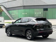 Jetour Jietu Dasheng 2023 1.5T DCT Starlight PRO - ფოტო 4