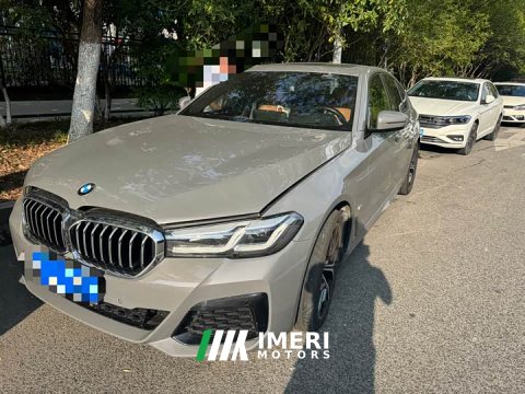 2021 BMW 5 Series (Imported) 530i Elegance M Sport Package - ავტომობილი ჩინეთიდან