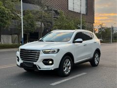 Haval H6 1.5GDIT Edition - ფოტო 1