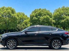 BMW X6 xDrive30i M Sport Package - ფოტო 7