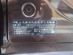 Buick GL8 ES 653T Luxury Version - ფოტო 14