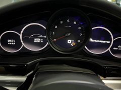 Porsche Panamera 2.9T - ფოტო 14