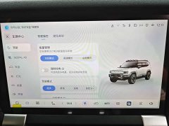 Deepal Deep Blue G318 Worry-Free Adventure Edition Four-Wheel Drive Mystic Realm Edition - ფოტო 15
