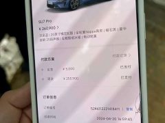 Xiaomi SU7 Rear-Wheel Drive Ultra-Long Range Advanced Autonomous Driving Pro - ფოტო 9
