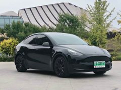Tesla Model Y Standard Range RWD - ფოტო 1