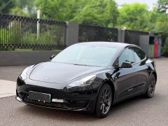 Tesla Model 3 Standard Range RWD Upgrade - ფოტო 1