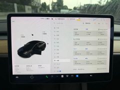 Tesla Model 3 Standard Range RWD Upgrade - ფოტო 10