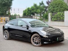 Tesla Model 3 Standard Range RWD Upgrade - ფოტო 3