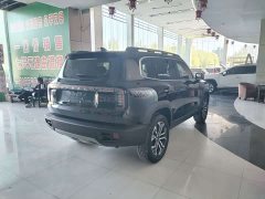 Great Wall Haval Big Dog Dachshund 1.5T DCT Border Collie Edition - ფოტო 11
