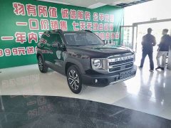Great Wall Haval Big Dog Dachshund 1.5T DCT Border Collie Edition - ფოტო 2