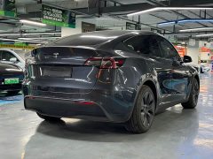 Tesla Model Y Rear-Wheel Drive - ფოტო 14