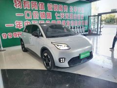 GAC AION UT 420 Smart Premium Edition - ფოტო 2