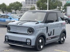 Geely Panda 200km Panda Kart - ფოტო 1