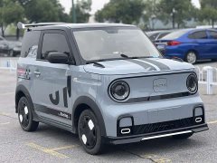 Geely Panda 200km Panda Kart - ფოტო 3