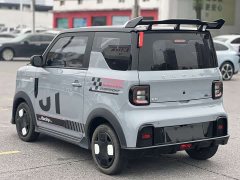 Geely Panda 200km Panda Kart - ფოტო 7