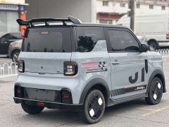 Geely Panda 200km Panda Kart - ფოტო 9