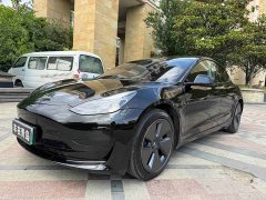 Tesla Model 3 Rear-Wheel Drive - ფოტო 1